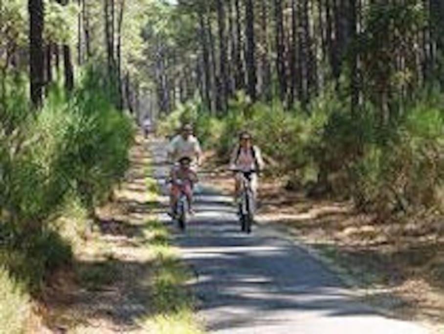 Maison De Vacances 4/5 Personnes A Leon, Landes Экстерьер фото